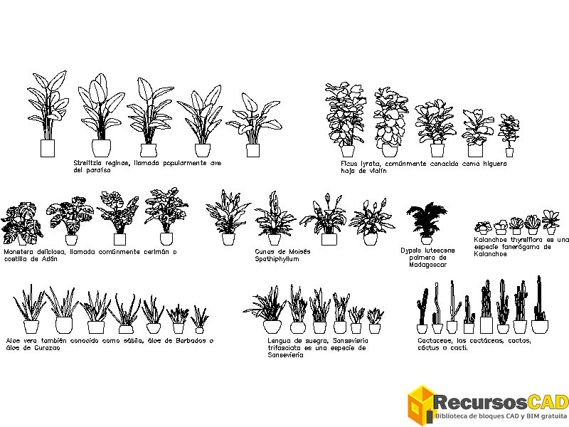 Descargar Bloques Dwg De Plantas En Maceta Para Autocad 2d Gratis