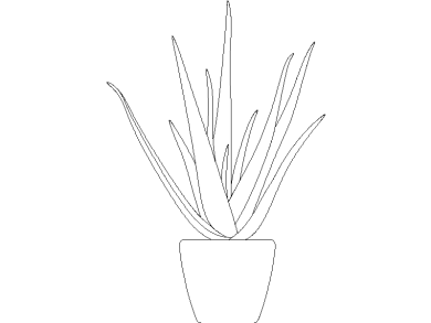 Descargar Bloques DWG de Plantas en Maceta Aloe Vera en maceta para AutoCAD