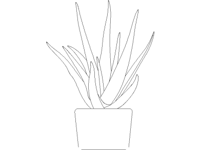 Descargar Bloques DWG de Plantas en Maceta Aloe Vera en maceta para AutoCAD 03