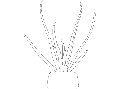 Descargar Bloques DWG de Plantas en Maceta Aloe Vera en maceta para AutoCAD 04