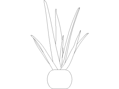 Descargar Bloques DWG de Plantas en Maceta Aloe Vera en maceta para AutoCAD 07