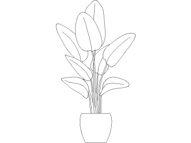 Descargar Bloques DWG de Plantas en Maceta Ave del Paraíso o Strelitzia en dwg