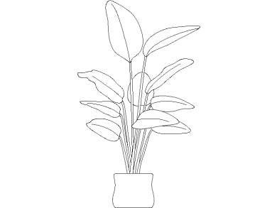 Descargar Bloques DWG de Plantas en Maceta Ave del Paraíso o Strelitzia en dwg