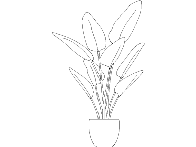 Descargar Bloques DWG de Plantas en Maceta Ave del Paraíso o Strelitzia en dwg