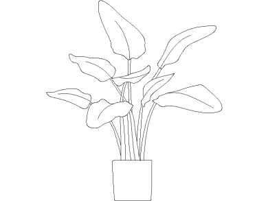 Descargar Bloques DWG de Plantas en Maceta Ave del Paraíso o Strelitzia en dwg