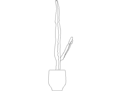 Descargar Bloques DWG de Plantas en MacetaCactus o cactáceas dwg 03