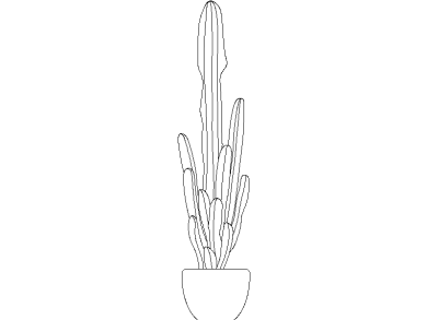 cactus o cactáceas dwg 06