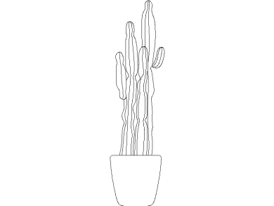 cactus o cactáceas dwg 07