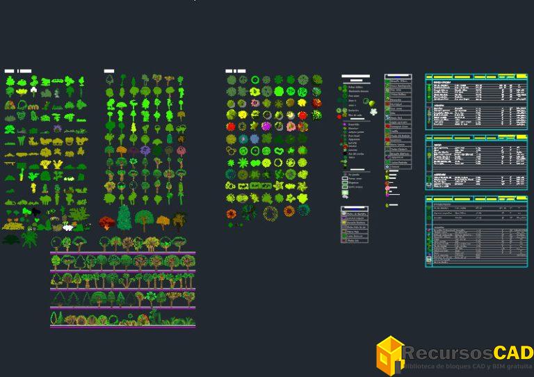 Bloques DWG De rboles En Planta Y Alzado A Color Descarga Gratis Para bloques-dwg-de-rboles-en-planta-y-alzado-a-color-descarga-gratis-para