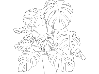 Descargar Bloques DWG de Plantas en Maceta Planta en maceta de Costilla de Adán o Monstera Deliciosa dwg 01