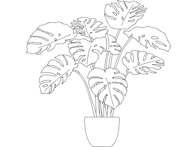 Descargar Bloques DWG de Plantas en Maceta Planta en maceta de Costilla de Adán o Monstera Deliciosa dwg