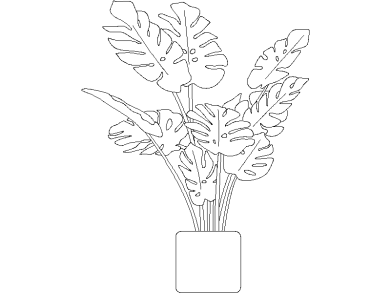 Descargar Bloques DWG de Plantas en Maceta Planta en maceta de Costilla de Adán o Monstera Deliciosa dwg