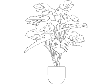 Descargar Bloques DWG de Plantas en Maceta Planta en maceta de Costilla de Adán o Monstera Deliciosa dwg