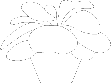 fanerógama de Kalanchoe 01