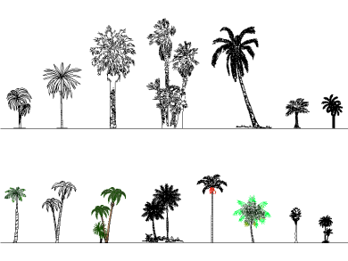conjunto palmeras dwg