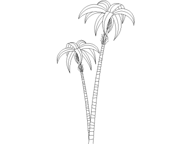palmera-6 dwg