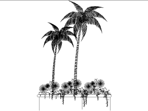 palmeras dwg