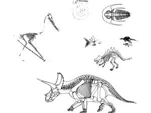 Bloque CAD Esqueletos de Dinosaurios