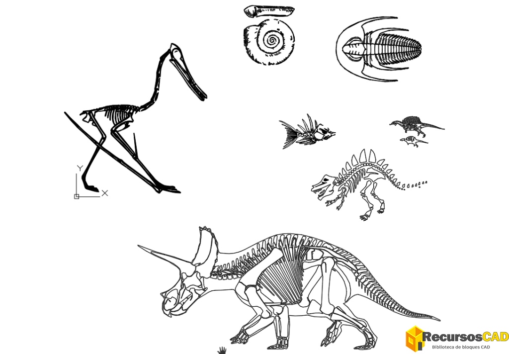 Esqueletos de Dinosaurios 2D en DWG