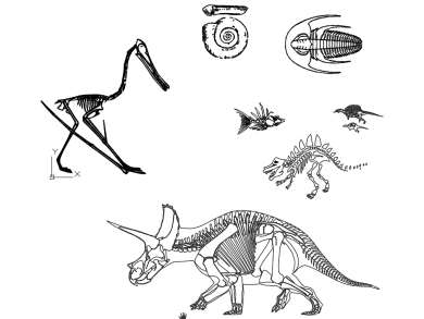 Esqueletos de Dinosaurios 2D en DWG