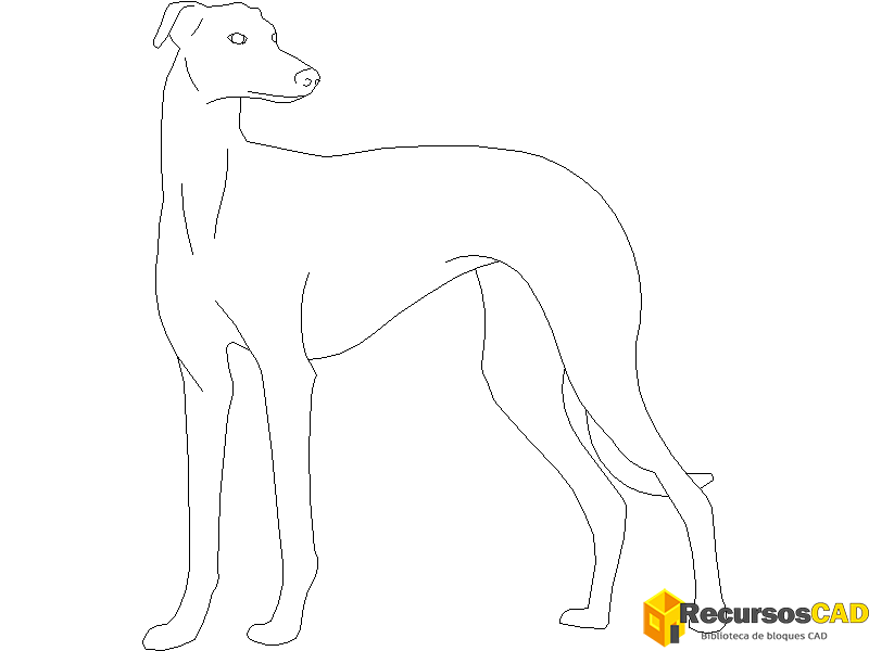 descargar perro galgo autocad dwg gratis en vista lateral 2D