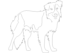 Descargar perro collie AutoCAD DWG Gratis – Plano CAD