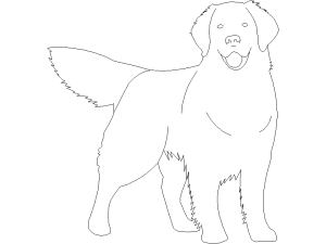 Descargar perro golden retriever AutoCAD DWG Gratis – Plano