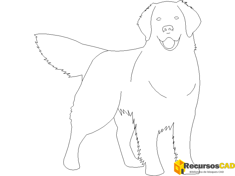 descargar perro golden retriever autocad dwg gratis vista frontal CAD