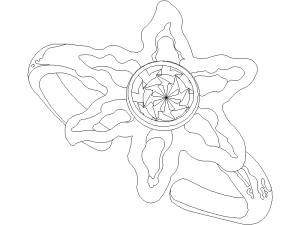 Pulsera en forma de estrella