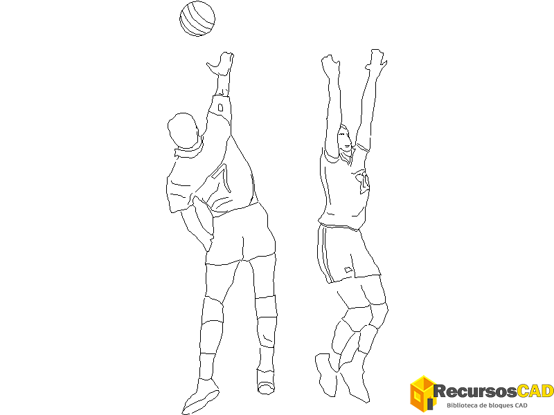 Dos jugadores de voleibol