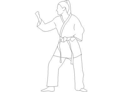 karate (3)
