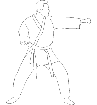 karate(2)