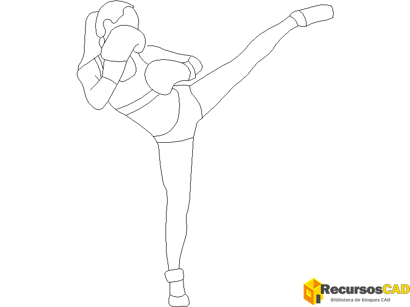 Descarga Bloques DWG de Kickboxing para AutoCAD 2D Gratis - RecursosCAD