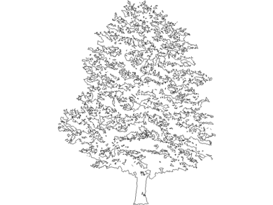 Colección gratuita de árboles en AutoCAD en alzado DWG