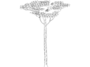 Descarga arboles en alzado autocad - bloque DWG
