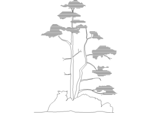 Bloques DWG de árboles para AutoCAD