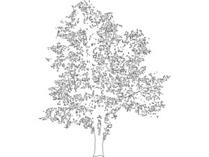 arbol autocad dwg descargar dwg autocad bloque cad