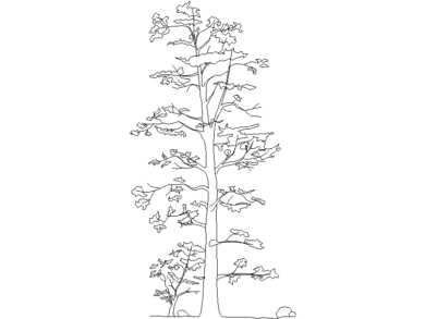 Bloques AutoCAD Árboles en Vista Frontal Gratis