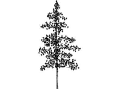 Bloques de Árboles AutoCAD Gratis en Vista Frontal