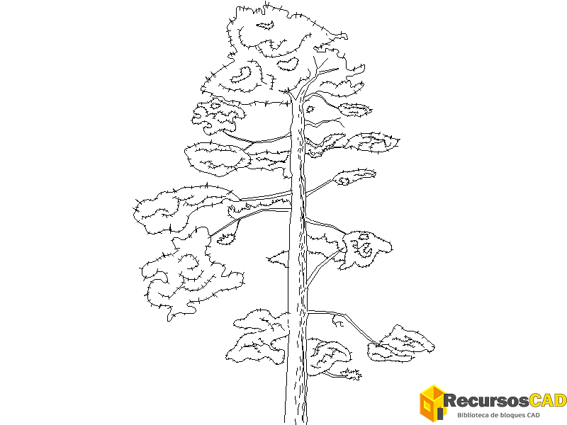 Árboles AutoCAD gratuitos para descarga en formato DWG 2D