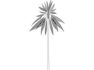 Descarga arbol dwg para proyectos