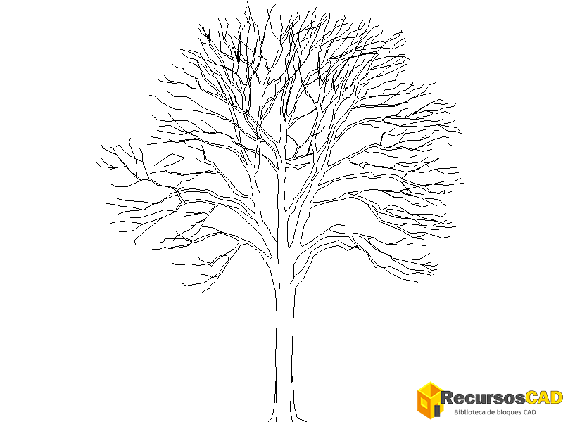 Descarga bloques AutoCAD de árboles alzado DWG gratis