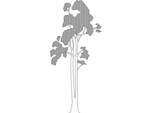 arbol autocad dwg descargar dwg autocad bloque cad