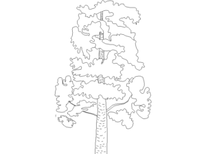 biblioteca gratuita de arboles autocad