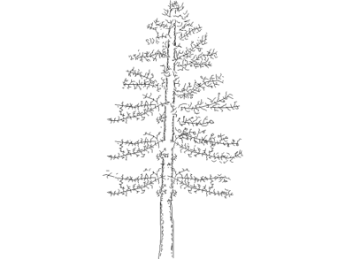 Bloques gratis de árboles en AutoCAD