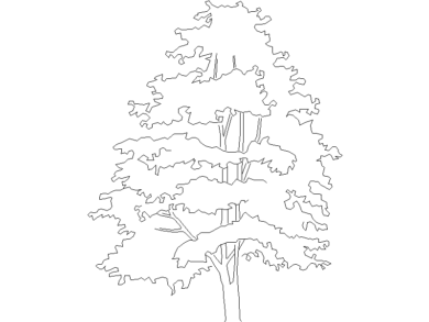 Descargar árbol DWG gratis para AutoCAD