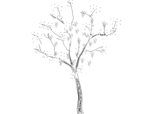 Descarga bloques dwg de arboles en autocad para diseño técnico