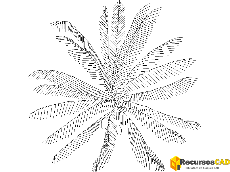 Descarga bloques DWG: Palmera en planta