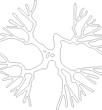 Descarga gratis árbol en planta DWG para AutoCAD. Mejora tus planos con vegetación profesional y detallada.