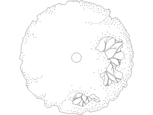 bloque CAD árbol en planta dwg autocad bloque cad